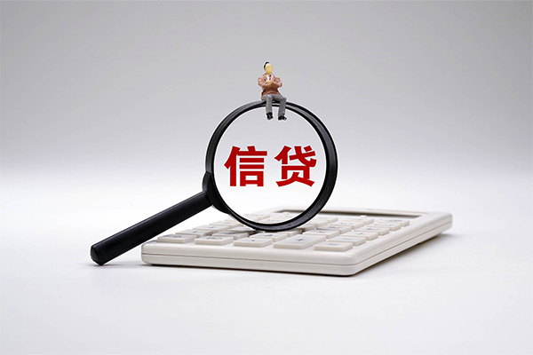 西安12大额短借
